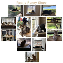 Foldable Cat Window Perch Bed Hammock Cat Window Wall Perch Hammock Seat with 4 Strong Suction Cups one size / Khaki / Square,one size / Pink / Square