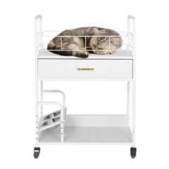 Multi-Functional Cat Stroller PF016