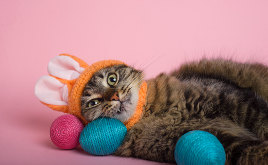 Purr-fectly Meowvelous: Celebrating Easter with Your Feline Friends
