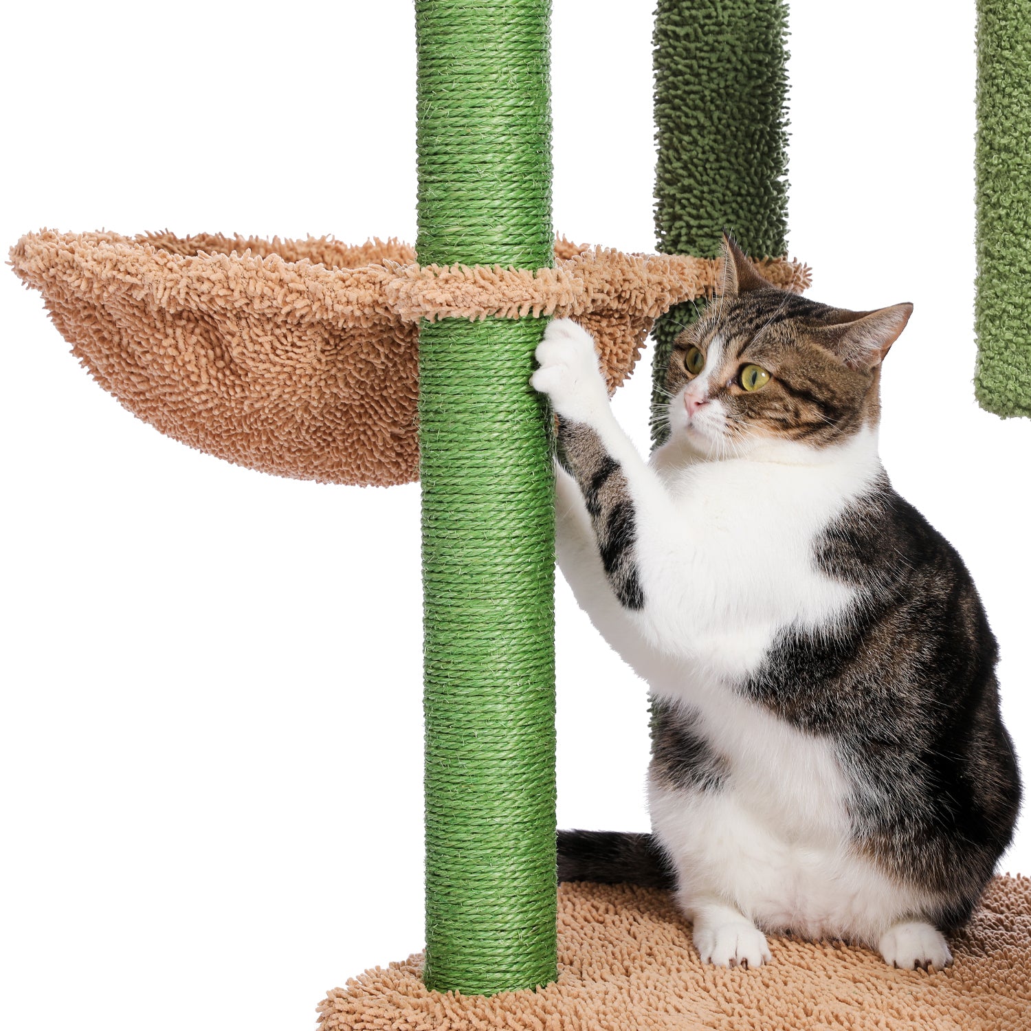 Cat Tree 41 Inches Cactus Cat Tower