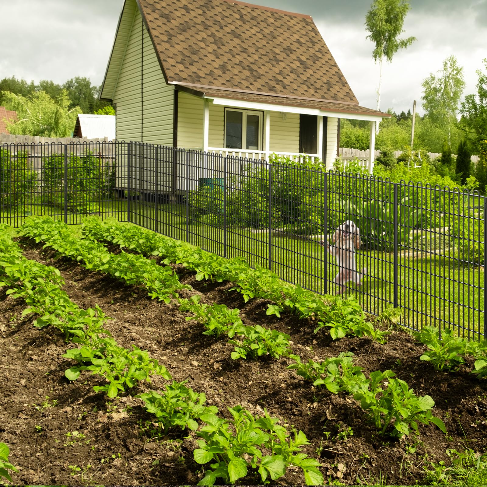 Decorative Garden Fence 10 Panels 23.6 ft(L) X 40 in(H) Animal Barrier for Yard, Patio, Garden Borders, No-Dig Outdoor Fencing with Rustproof Metal Panels, Temporary Ground Stakes for Dogs, Rabbit Dog Playpen 10 Panels-23.6 ft(L) X 40 in(H),10 Panels-23.6 ft(L) X 32 in(H),5 Panels-11.8 ft(L) X 32 in(H),15 Panels-35.4 ft(L) X 32 in(H),20 Panels-47.2 ft(L) X 32 in(H),20 Panels-47.2 ft(L) X 40 in(H)