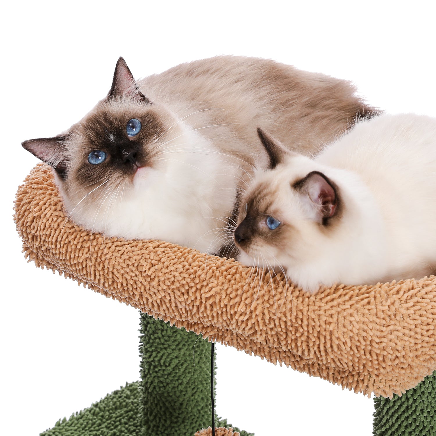 Cat Tree 41 Inches Cactus Cat Tower