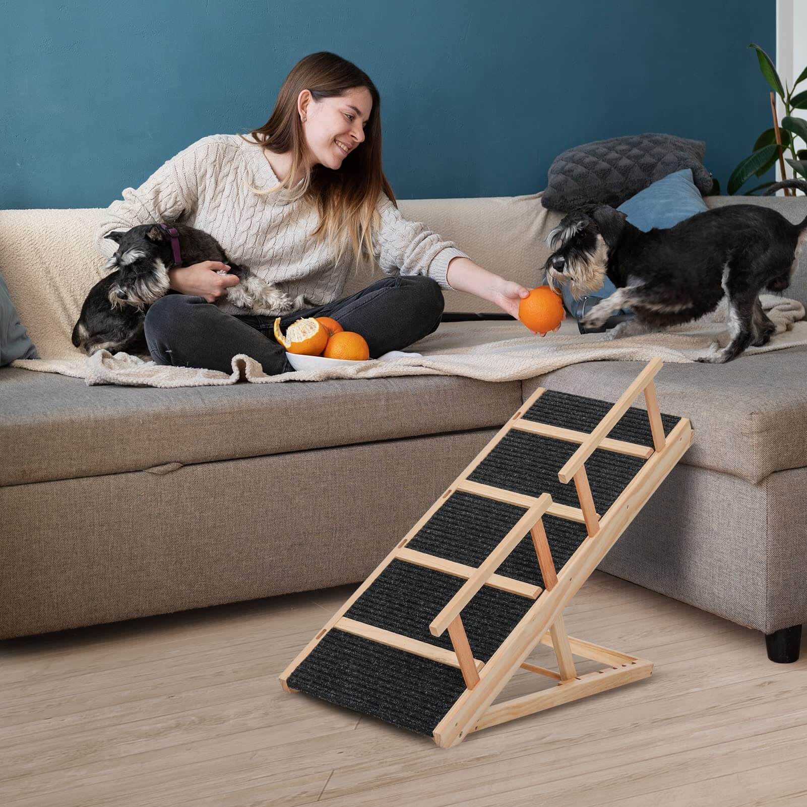 Dog Ramp with Non-Slip PA904