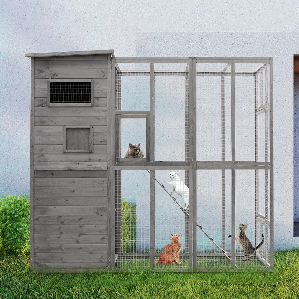 Outdoor Cat Enclosure PE1002-