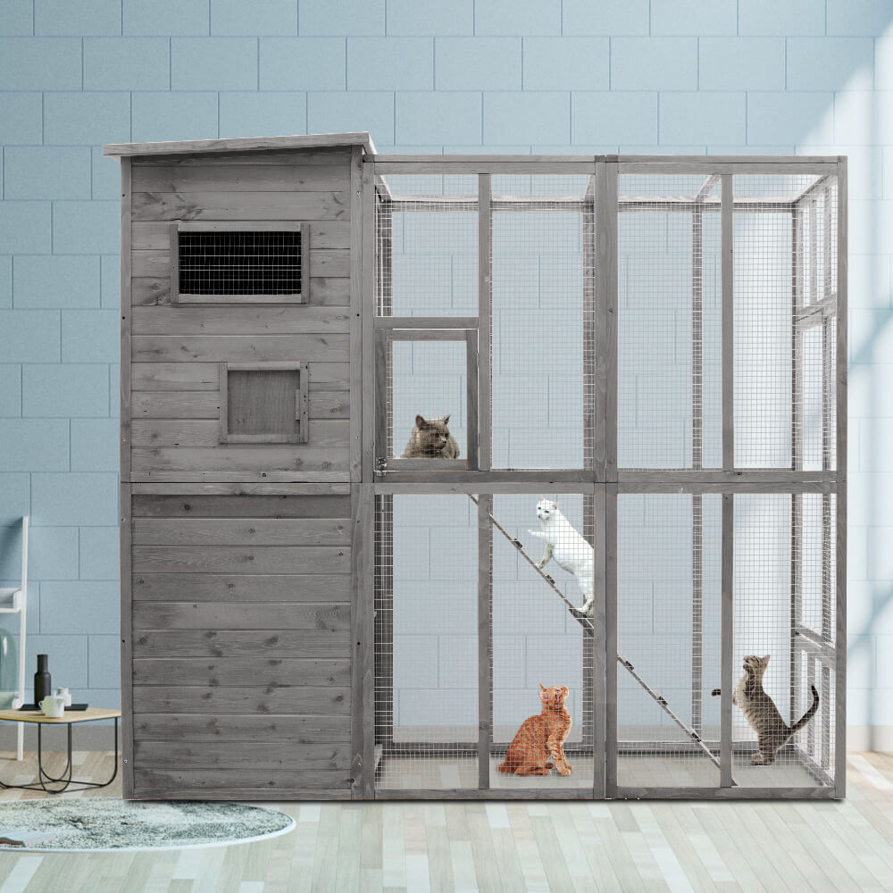 Outdoor Cat Enclosure PE1002-