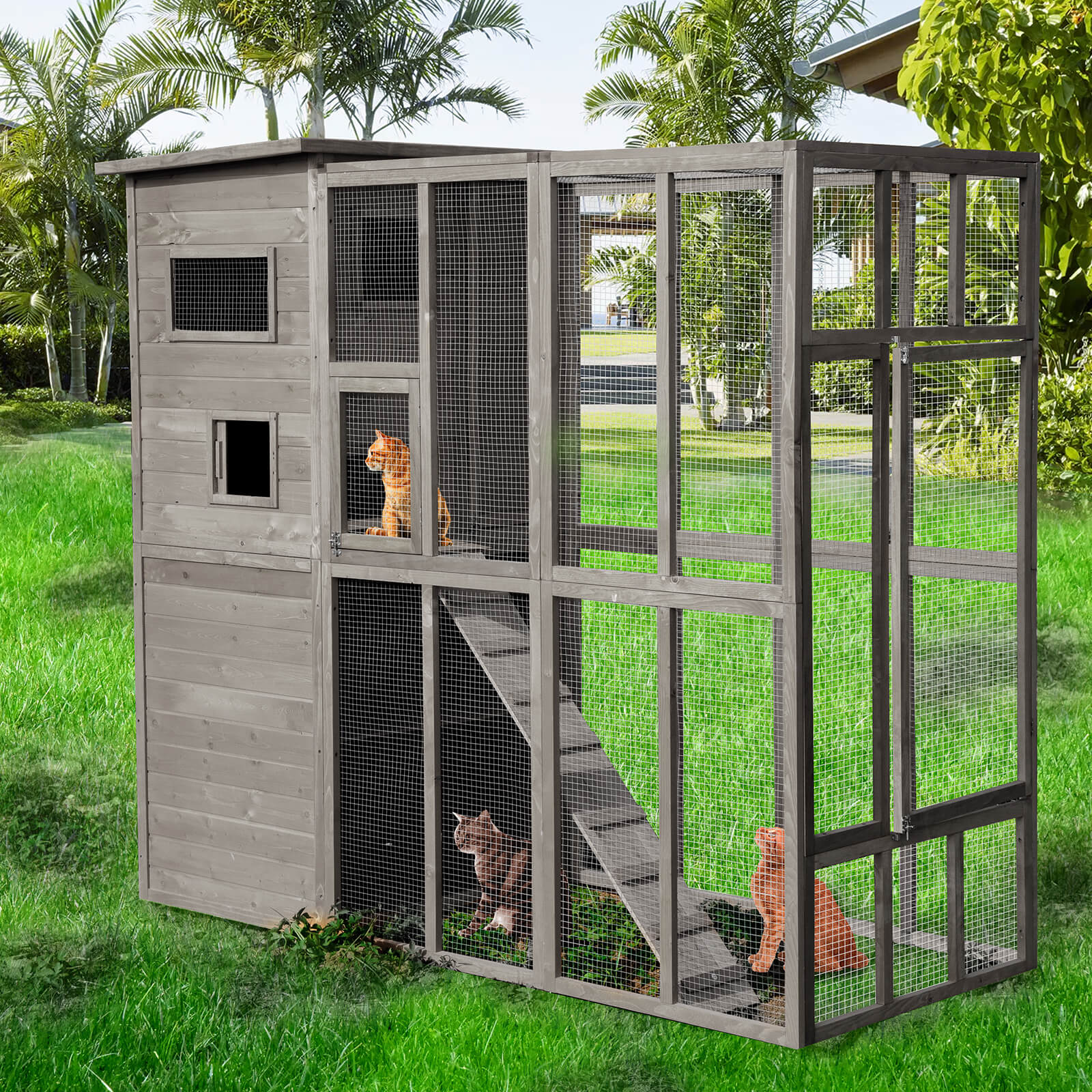 Outdoor Cat Enclosure PE1002-