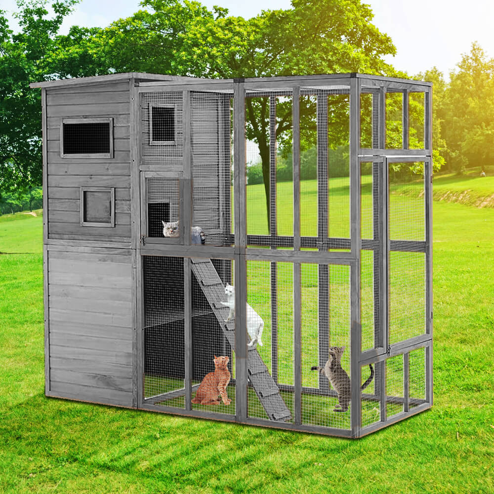 Outdoor Cat Enclosure PE1002-