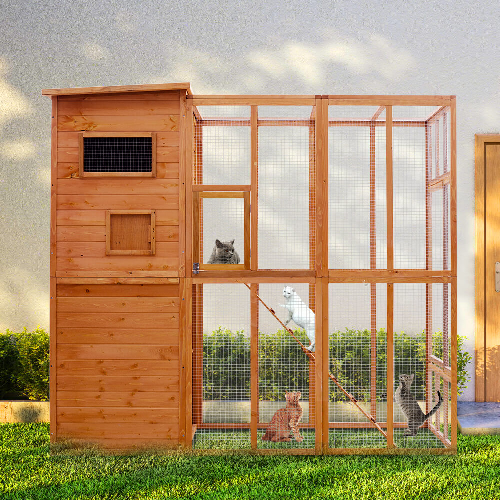 Outdoor Cat Enclosure PE1002-
