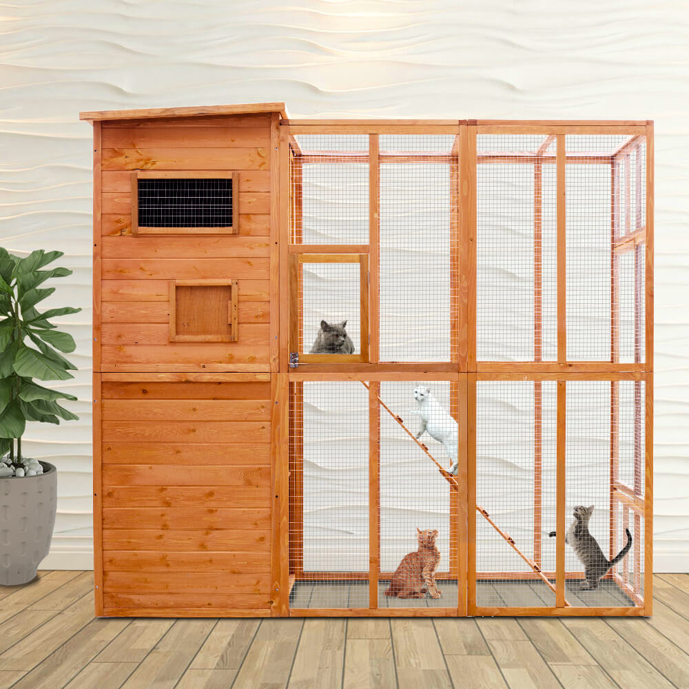 Outdoor Cat Enclosure PE1002-
