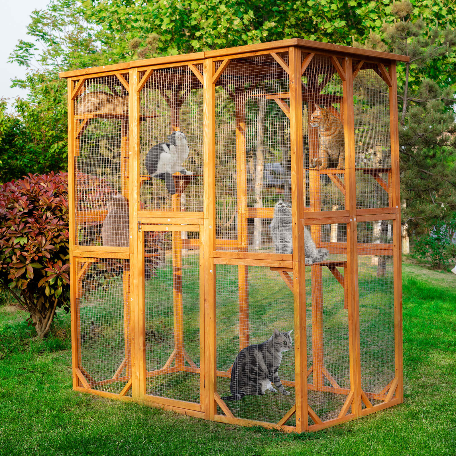 Outdoor Cat House PE1001-